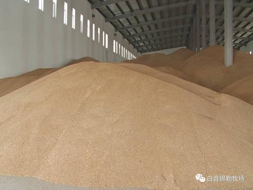 白音锡勒牧场从小麦种植,田间管理,作业收割,仓储备用到面粉加工,销售